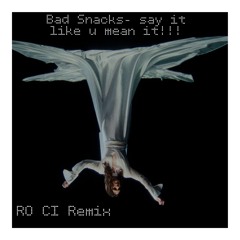 Bad Snacks - say it like u mean it!!! (RO CI Remix)