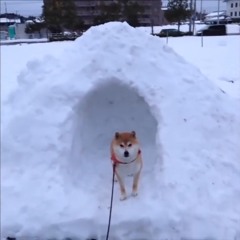 не ищи меня