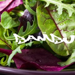 Power Greens: Fresh Spring Mix