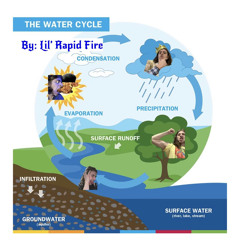 Lil’ Rapid Fire - the water cycle featuring. Eminem