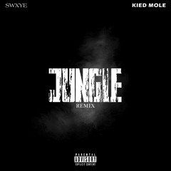 Jungle Remix(ft. Kied Mole)