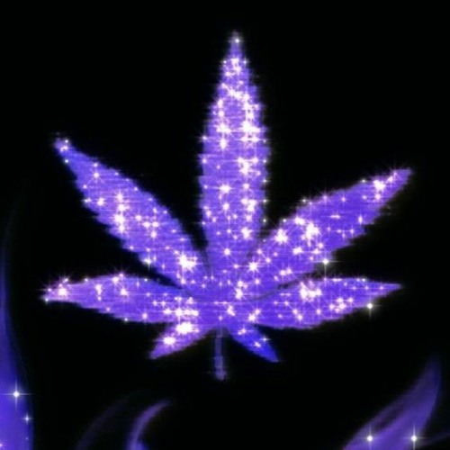 yozad x Luca " Calmo "