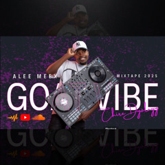 GOAT VIBE MIXTAPE 2025