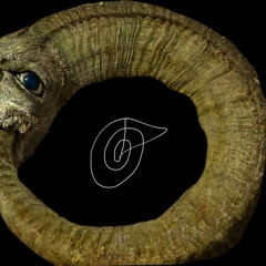 memories as time goes on