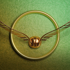 NoToneTyrone - Lord Of The Rings and Harry Potter Mashup