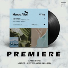 PREMIERE: Anton Borin - Under Heaven (Original Mix) [MANGO ALLEY]