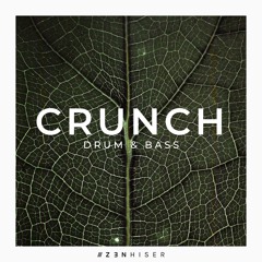 Crunch Drum & Bass. Premium DnB Samples With A Little Magic