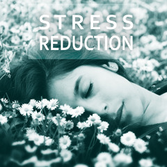 Pregnancy Music