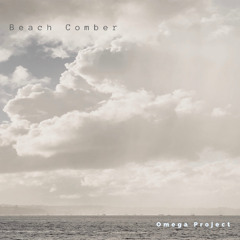 Beach comber
