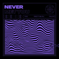 Never Met You (ft. Prettibleu)(Prod. Falxx)(slowed)