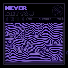 Never Met You (ft. Prettibleu)(Prod. Falxx)(slowed)