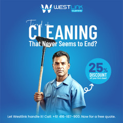 Professional Window Cleaning for Homes & Businesses