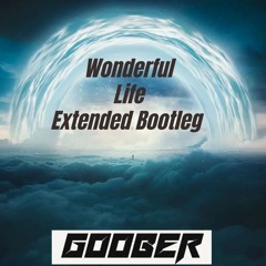 Wonderful Life -GOOBER (Extended Bootleg)