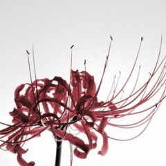 tomorrow prod.nvrmindd