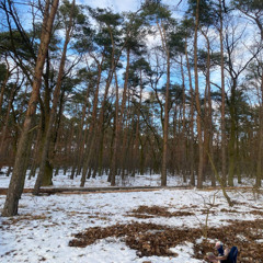 sztuczki prod pradabackondrugz