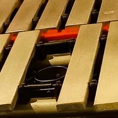 CARRIAGE IN THE CITY