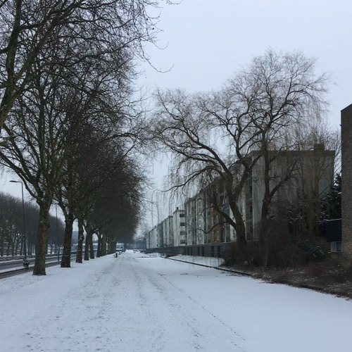 Molenvliet 3