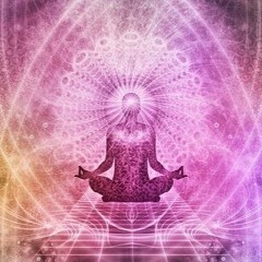 Feel The Light