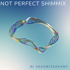 Not Perfect (Shim Mix)