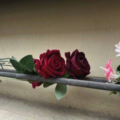 маша котова-песня насти, но ты не поймешь
