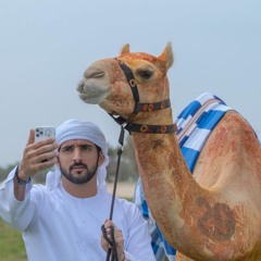 ناموس هجن العاصفه دايم غير🔥