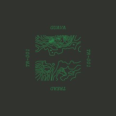 Guava - Libelle (Sputnik One Remix)