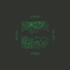 Guava | Guitarist EP [TR-001]