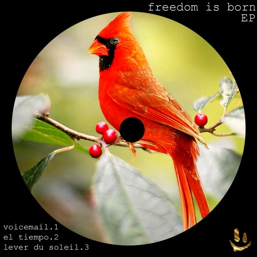 csa & savinescwho? | Voicemail | Snipp