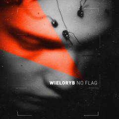 WIELORYB "No Flag" – Echo streets