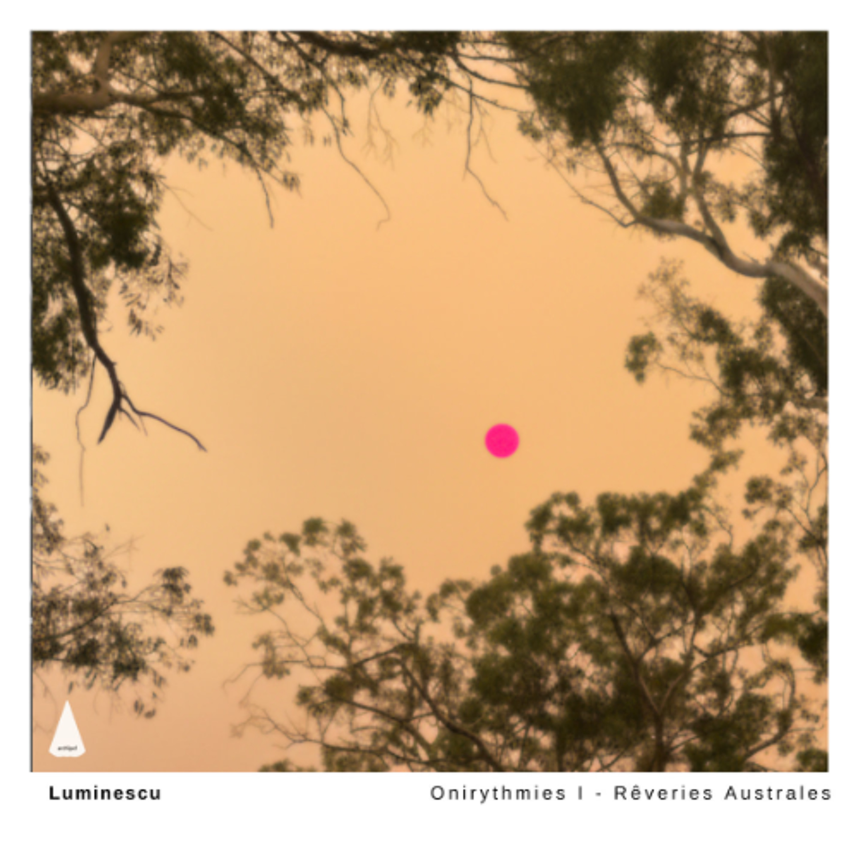 premiere: Luminescu - La Chancelière des Champs de Lierre [Archipel Musique] episode artwork