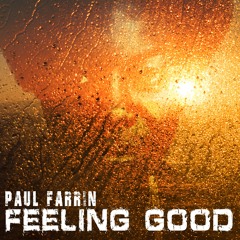 Paul Farrin feat. Nina Simone - Feeling Good