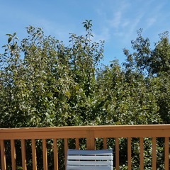 가끔 미치도록 네가 안고 싶어질 때가 있어 - 가을방학 커버