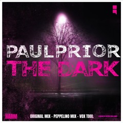 The Dark (Peppelino Remix)
