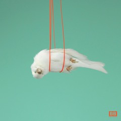 4000Hz (Gully Goose Remix)