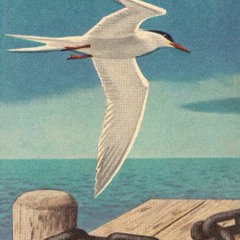 TOSS THE CLIP (Prod. Pérignon)