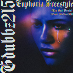 Euphoria Freestyle (Prod. NoSoulKi)(Tsu Surf Remix)