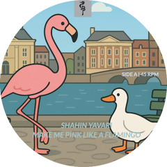 Shahin Yavari - Make me pink like a flamingo (FREE DL)