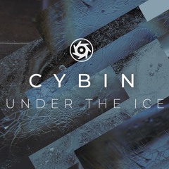 Under the Ice EP (Machinist Music)