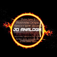 Work (feat. Denise "Saucey Wow" Belfon)  · Pupa Nas T · Denise "S- (Remix Jo Analogh)