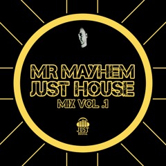 Mr Mayhem Just House Mix 01