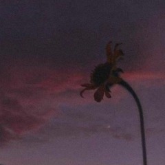 last goodbye