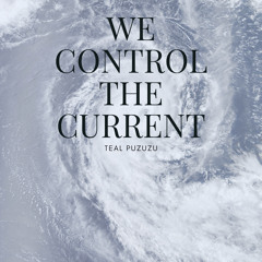 We Direct the Stream