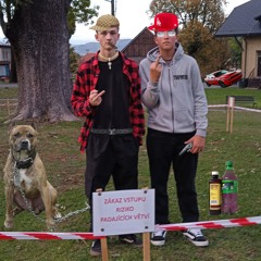 Mostecka zabijacka