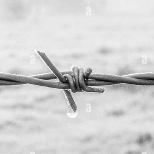 Surgical Methods - Wired (Unreleased)