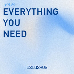 Everything You Need (Radio Edit)