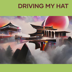 Driving My Hat