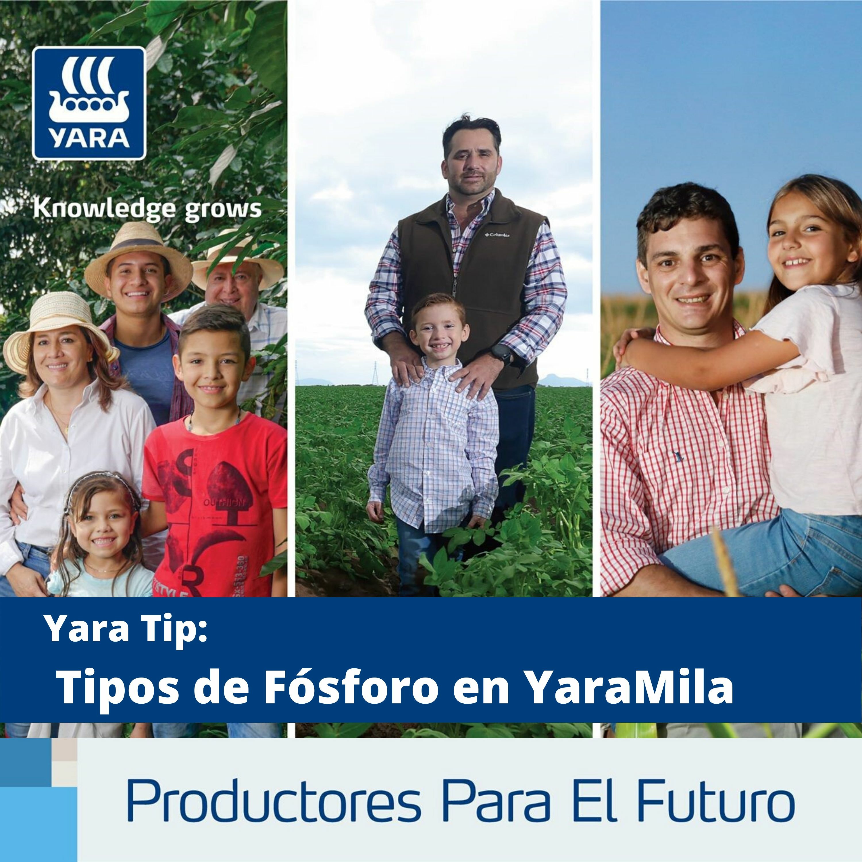 Productores Para El Futuro