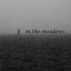 in the meadows (prod. caves)