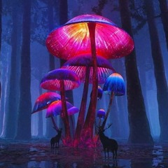 Shortax - The Voice of Nature ( PREVIEW )