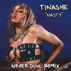 TINASHE - NASTY (NEVER DULL REMIX)